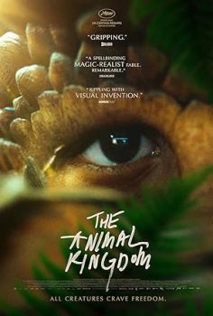 Hayvan Krallığı izle