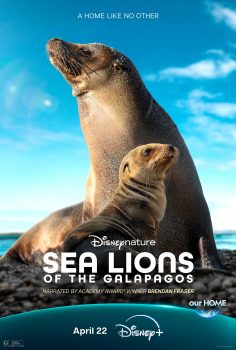 Galapagos’un Deniz Aslanları izle
